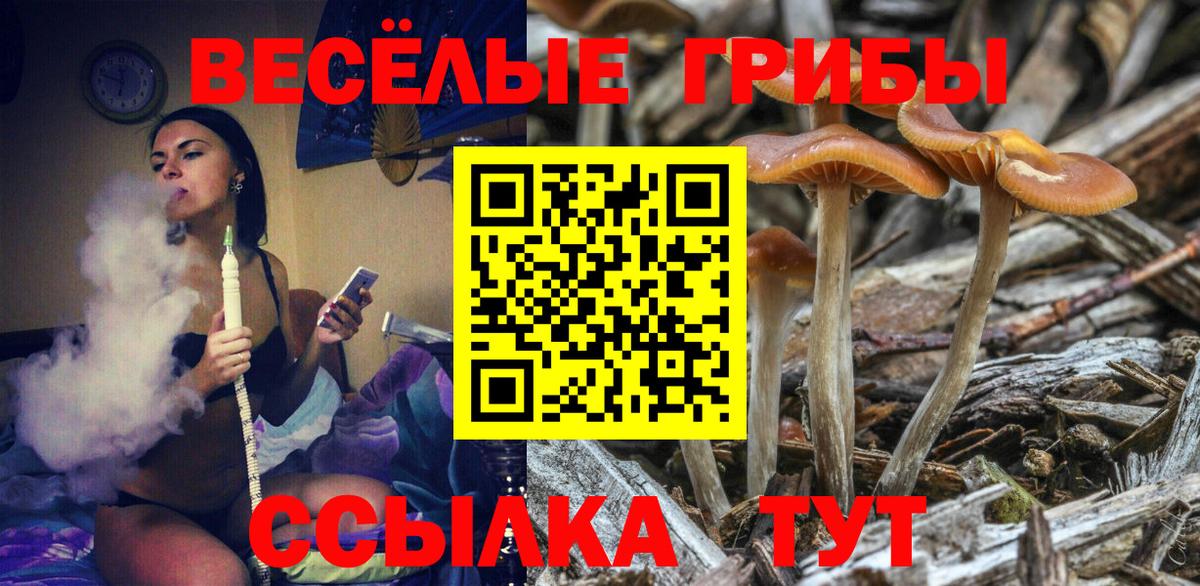 МЕТАДОН Моздок