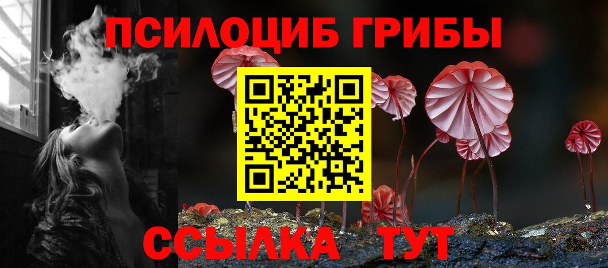 Моздок  Псилоцибиновые грибы Psilocybine cubensis  Псилоцибиновые грибы Cubensis  Вход с VPN 