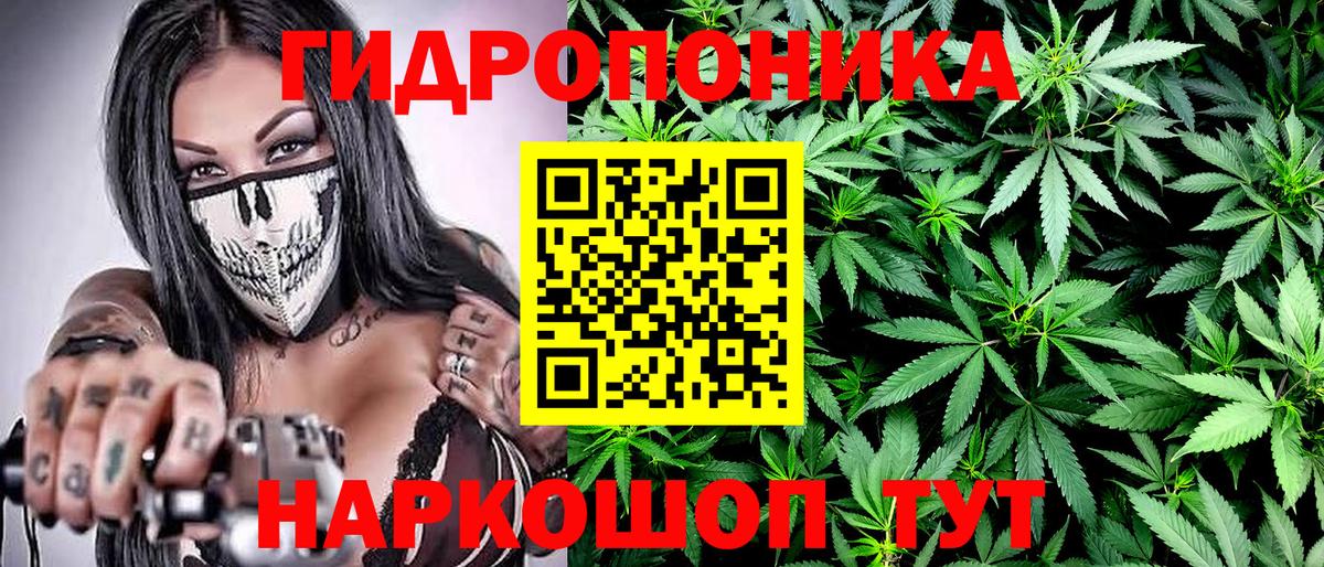 Бошки марихуана THC 21% Моздок